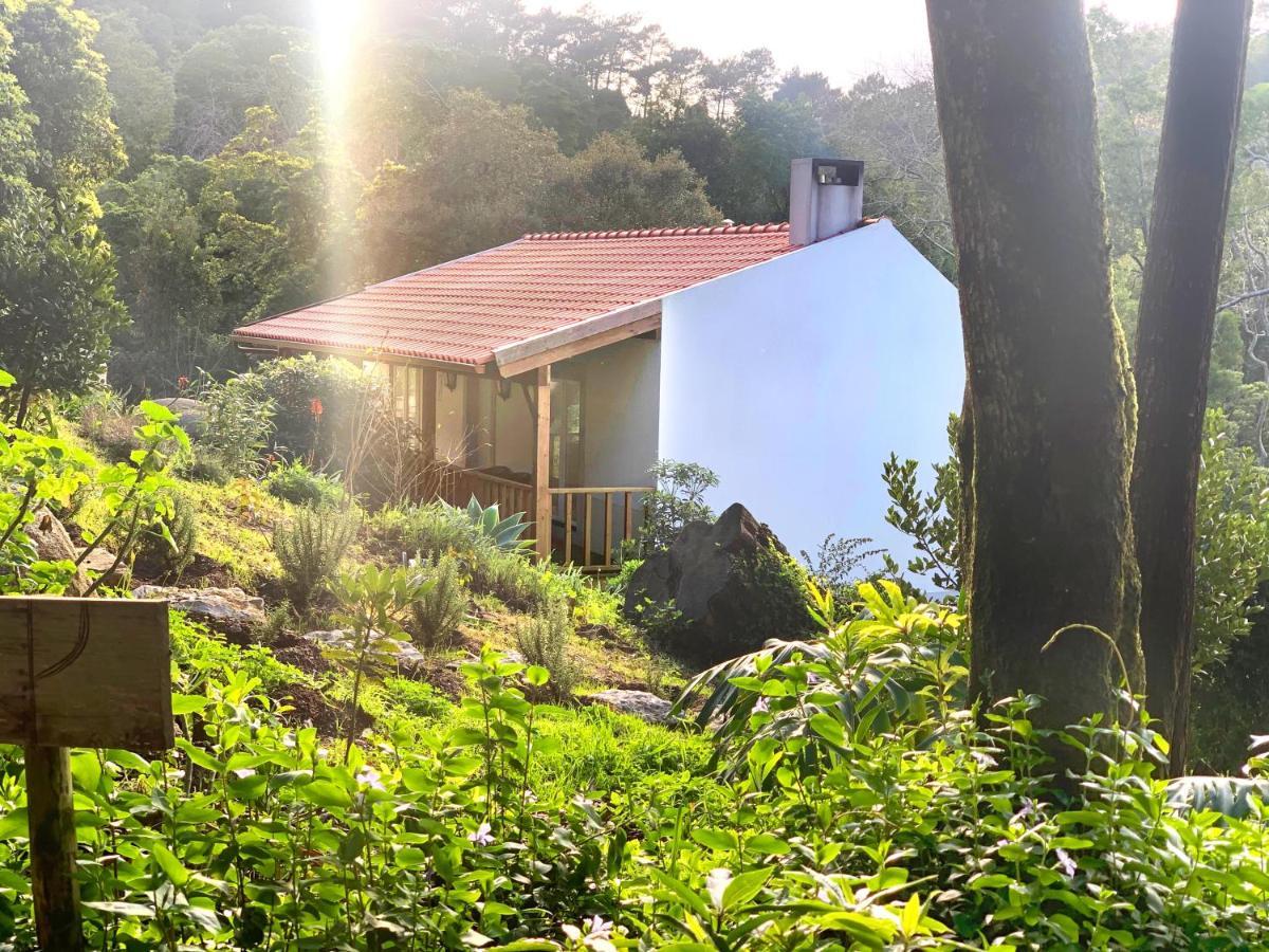 Eighteen21 Houses - Secluded Charm Cottage In Quinta Velha Sintra Eksteriør bilde