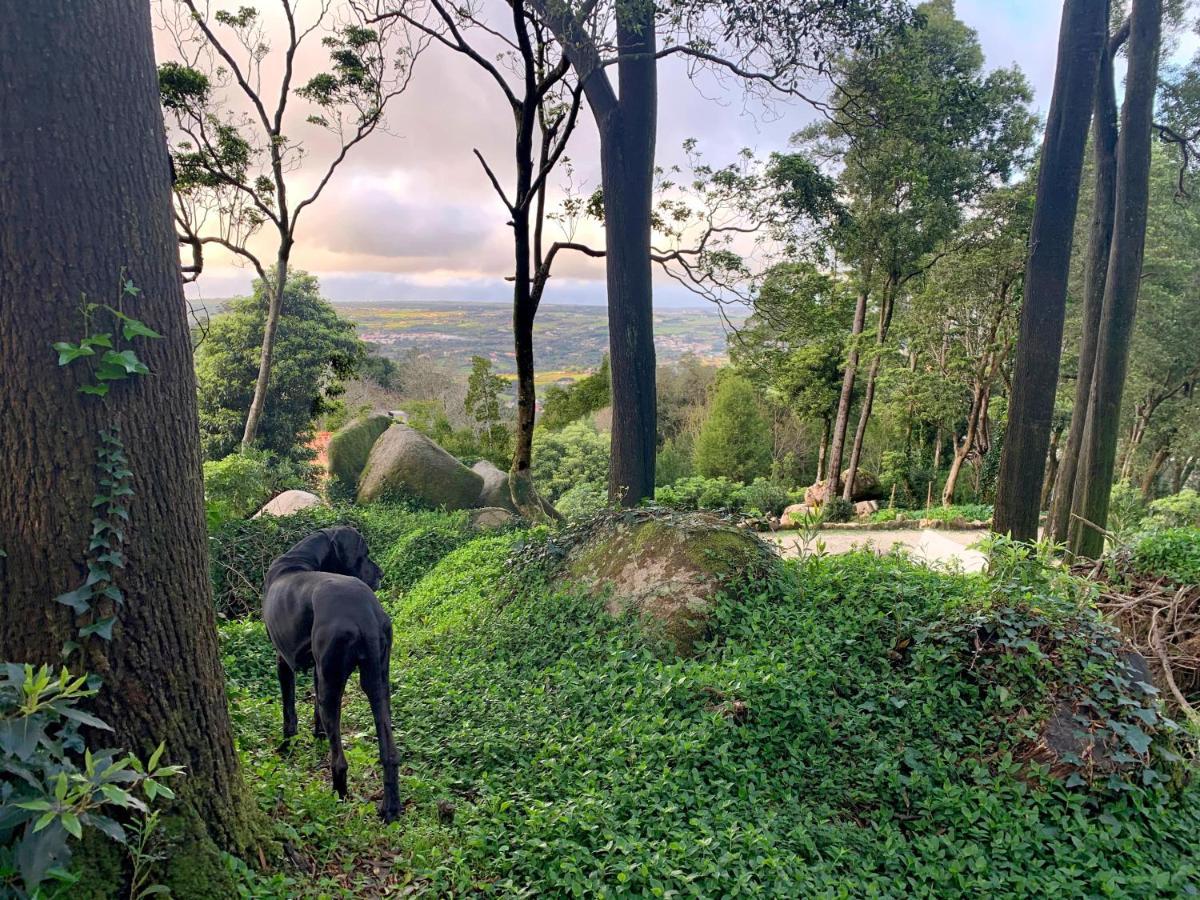 Eighteen21 Houses - Secluded Charm Cottage In Quinta Velha Sintra Eksteriør bilde